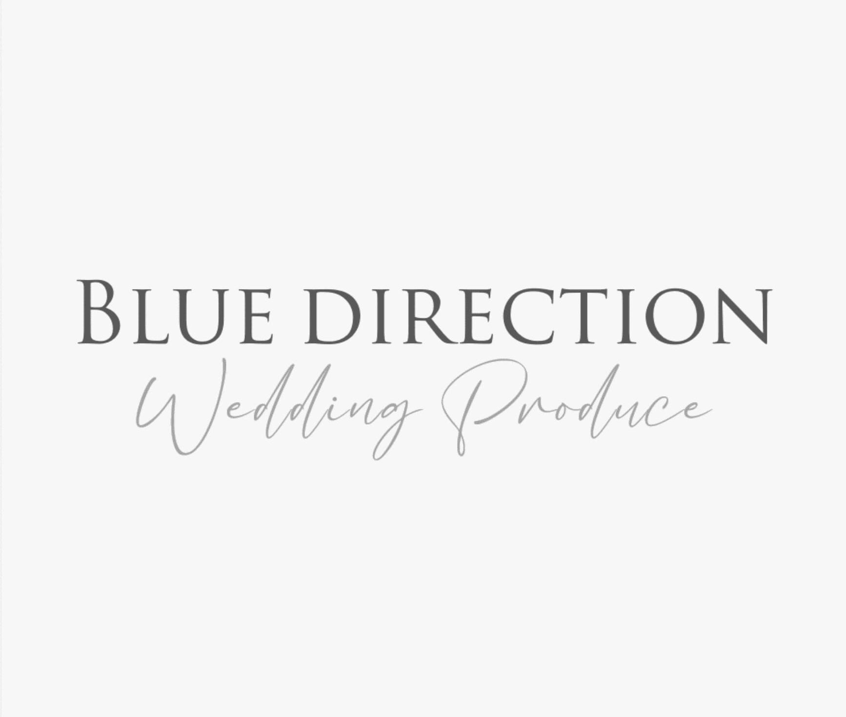BLUE DIRECTIONロゴ